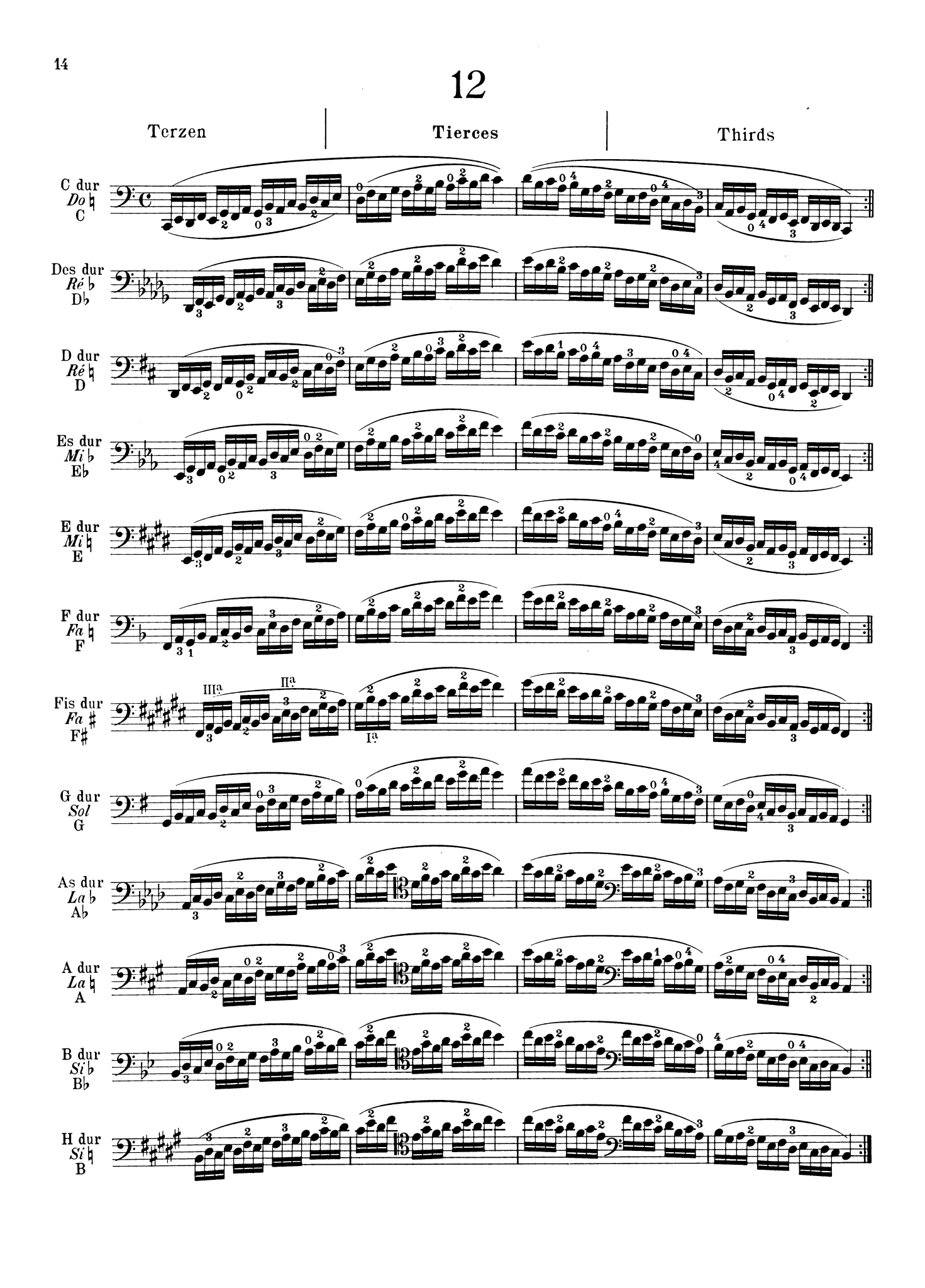 Feuillard12